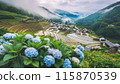 Rice terraces with blooming hydrangeas (AI-generated image) 115870539