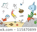 Illustration of sea creatures 115870899