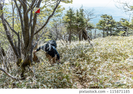 Walk along the ridgeline of Mt. Akanagi 115871185