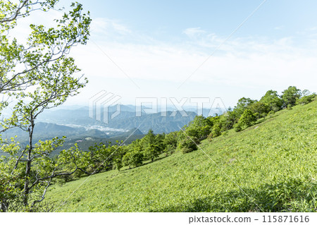 日光霧降高原徒步旅行 日光霧降高原徒步旅行 115871616