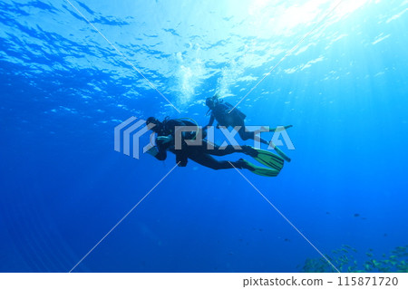 Beautiful blue sea and diverse life Beautiful blue sea and diverse life 115871720