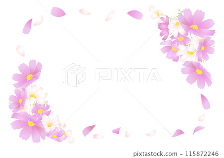 Cosmos petal frame 115872246