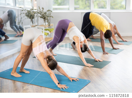 Young woman performing Adho Mukha Svanasana at yoga class Young woman performing Adho Mukha Svanasana at yoga class 115872818