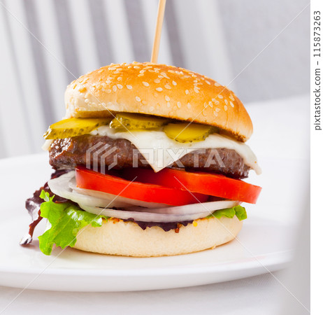 Image of hamburger on the plate 115873263