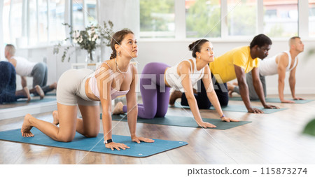 Young woman coach and students perform Marjariasana during training in studio 115873274