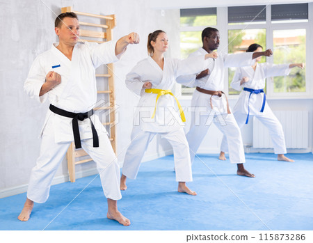 Multinational students repeat position and perform sequence of punches and painful techniques kata 115873286