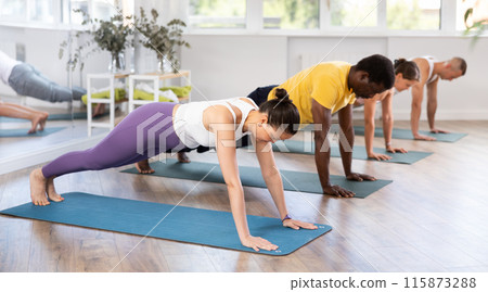 Young woman coach and students perform plank during training in studio 115873288