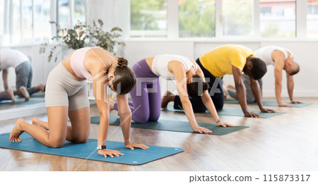 Young girl doing Cat Cow Stretch at group yoga session Young girl doing Cat Cow Stretch at group yoga session 115873317