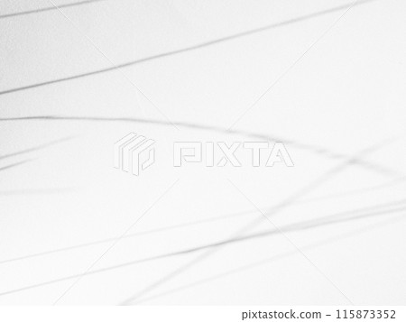 Shadow Background Effect Mockup Frame Abstract Technology Business Black Grey Shade Design blur Cement Wall Floor Minimal Empty Backdrop Overlay Light Nature Leaves Window White Template Summer. Shadow Background Effect Mockup Frame Abstract Technology Business Black Grey Shade Design blur Cement Wall Floor Minimal Empty Backdrop Overlay Light Nature Leaves Window White Template Summer. 115873352