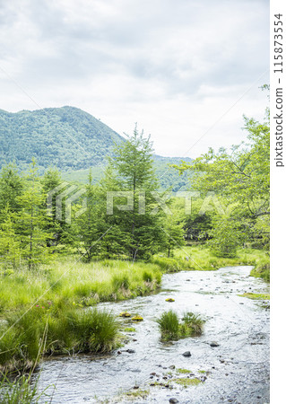 Kotokunuma Valley Lander 115873554