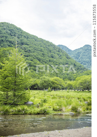 Kotokunuma Valley Lander 115873558