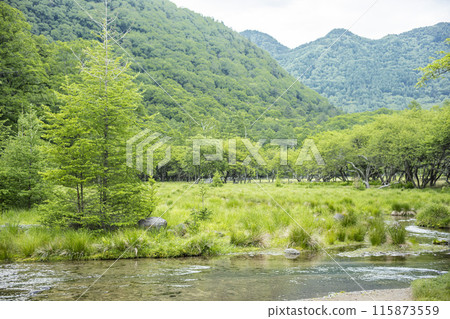 Kotokunuma Valley Lander 115873559