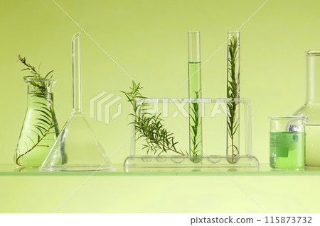 Different types of laboratory glassware filled with green liquid and tea tree leaves arranged on a glass panel. Tea tree oil is one of the most famous essential oils with various benefits 115873732
