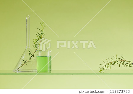 Front view of a laboratory funnel and a beaker of green liquid decorated with fresh tea tree leaves on glass panel. Product extracted from tea tree leaves can be displayed in blank space Front view of a laboratory funnel and a beaker of green liquid decorated with fresh tea tree leaves on glass panel. Product extracted from tea tree leaves can be displayed in blank space 115873733