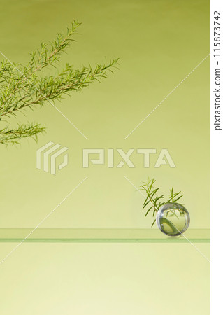 Minimal scene of a glass ball decorated on a glass panel with tea tree leaves against green background. Vacant space for product presentation with Tea Tree (Melaleuca alternifolia) extract Minimal scene of a glass ball decorated on a glass panel with tea tree leaves against green background. Vacant space for product presentation with Tea Tree (Melaleuca alternifolia) extract 115873742