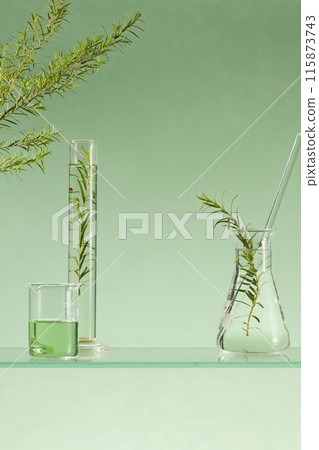 A beaker of green liquid arranged with a graduated cylinder and a conical flask. Few branches of tea tree leaf decorated. Science laboratory research and development concept A beaker of green liquid arranged with a graduated cylinder and a conical flask. Few branches of tea tree leaf decorated. Science laboratory research and development concept 115873743