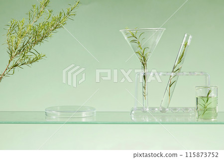 Some laboratory glassware containing liquid and tea tree leaves arranged over pastel background. Natural medicine, cosmetic research, bio science, organic skin care products Some laboratory glassware containing liquid and tea tree leaves arranged over pastel background. Natural medicine, cosmetic research, bio science, organic skin care products 115873752