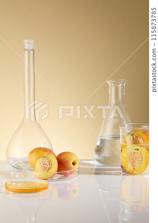 Laboratory scene from front angle, against the yellow background. A blank boiling flask displayed on the white table next to a petri dish of fresh peach, erlenmeyer of transparent liquid and a beaker Laboratory scene from front angle, against the yellow background. A blank boiling flask displayed on the white table next to a petri dish of fresh peach, erlenmeyer of transparent liquid and a beaker 115873785