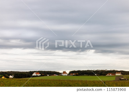 Scenic rural landscape with overcast sky showing a distant village, serene countryside atmosphere 115873908