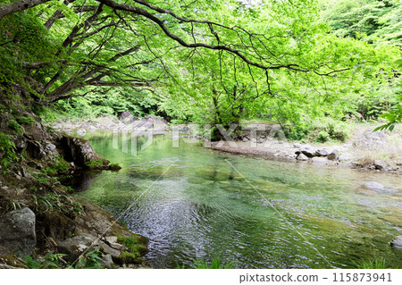 Kinomata Valley among the trees Kinomata Valley among the trees 115873941