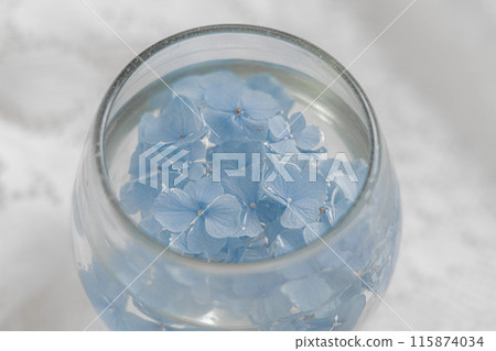 Hydrangea in a glass container Hydrangea in a glass container 115874034