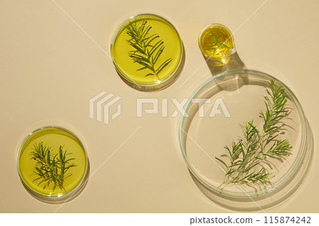 Tea tree oil filled inside few glass petri dishes and a beaker with tea tree leaves. Empty space for cosmetic product presentation. Laboratory experience and research concept Tea tree oil filled inside few glass petri dishes and a beaker with tea tree leaves. Empty space for cosmetic product presentation. Laboratory experience and research concept 115874242