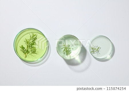 Three glass petri dishes filled with green liquid and tea tree leaves arranged in a line over white background. Top view. Tea tree oil contains a number of compounds 115874254