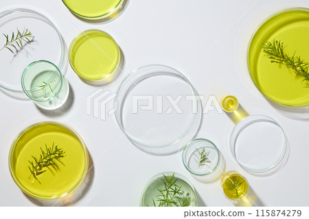 Lots of glass petri dishes of yellow and green liquid are decorated over white background. Natural tea tree leaves concept. Space in the large petri dish to show your cosmetic product Lots of glass petri dishes of yellow and green liquid are decorated over white background. Natural tea tree leaves concept. Space in the large petri dish to show your cosmetic product 115874279