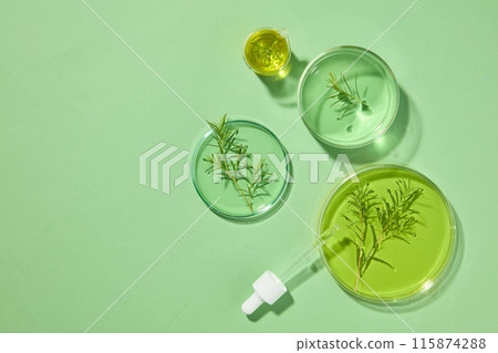 Several glass petri dish of green and yellow chemical liquid are displayed with a beaker and a dropper. Tea tree oil can be used to treat conditions and symptoms that affect skin Several glass petri dish of green and yellow chemical liquid are displayed with a beaker and a dropper. Tea tree oil can be used to treat conditions and symptoms that affect skin 115874288