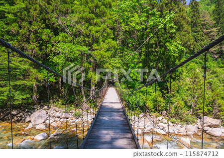 在柿子谷Koi方式的吊橋 在柿子谷Koi方式的吊橋 115874712