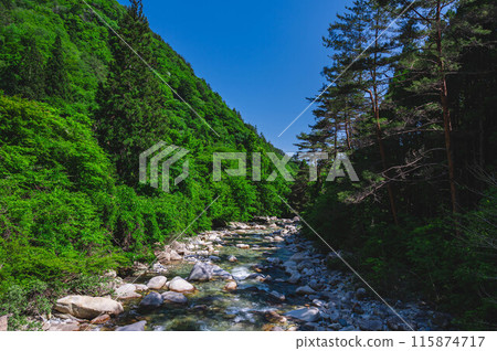 Kakizono Valley in early summer 115874717