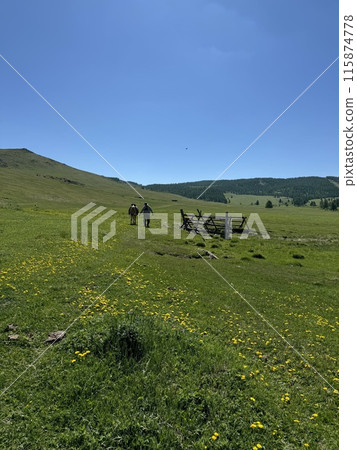 Pulling a horse through a watering hole in the grassland 115874778