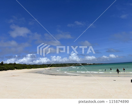 在海灘上的海灘 115874890