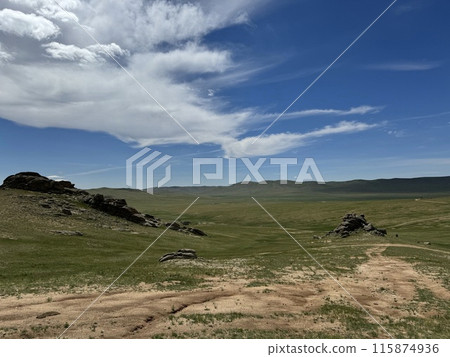 草原和藍天 115874936