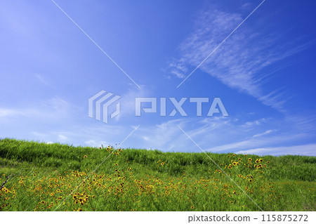 藍天 藍天 115875272