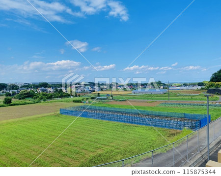 Hiratsuka countryside view from the Kanagawa Prefecture Animal Protection Center 115875344