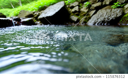 流動的清水 流動的清水 115876312