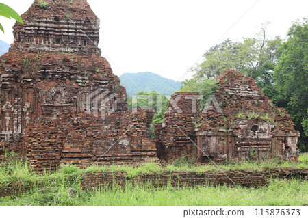 Vietnam, Quang Nam Province, My Son Ruins, My Son Sanctuary 115876373
