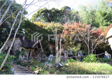 Warmth Forest, Hamamatsu City, Shizuoka Prefecture Warmth Forest, Hamamatsu City, Shizuoka Prefecture 115876627