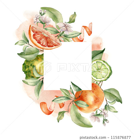 Mixed ripe citrus fruits and white flowers, watercolor splash isolated frame. Hand drawn grapefruit peel, tree branch and jasmine in botanical sketch for package aroma product, summer floral card Mixed ripe citrus fruits and white flowers, watercolor splash isolated frame. Hand drawn grapefruit peel, tree branch and jasmine in botanical sketch for package aroma product, summer floral card 115876877