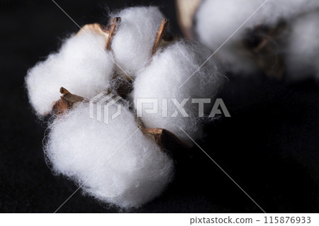 仿棉 仿棉 115876933