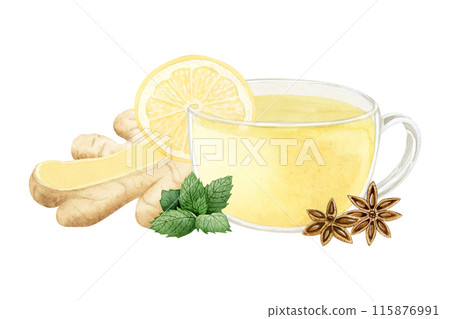 Healing herbal dinger tea in glass cup with lemon, spearmint and star anise illustration isolated on white. Hot vegan beverage of organic ingredients against flu and cold. Hand drawn clipart Healing herbal dinger tea in glass cup with lemon, spearmint and star anise illustration isolated on white. Hot vegan beverage of organic ingredients against flu and cold. Hand drawn clipart 115876991