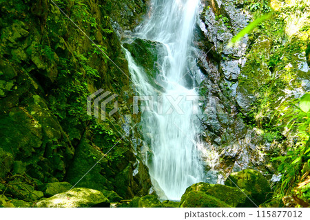 Eizen Falls, a hidden spot deep in the mountains of Higashiomi City, Shiga Prefecture Eizen Falls, a hidden spot deep in the mountains of Higashiomi City, Shiga Prefecture 115877012