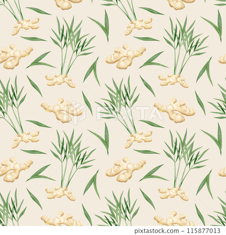 Watercolor ginger roots with growing leaves and stems seamless pattern on white background on light beige. Spicy fresh vegetable plant for kitchen, organic healthy products and vegan food Watercolor ginger roots with growing leaves and stems seamless pattern on white background on light beige. Spicy fresh vegetable plant for kitchen, organic healthy products and vegan food 115877013