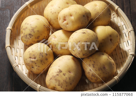 男爵馬鈴薯 男爵馬鈴薯 115877068