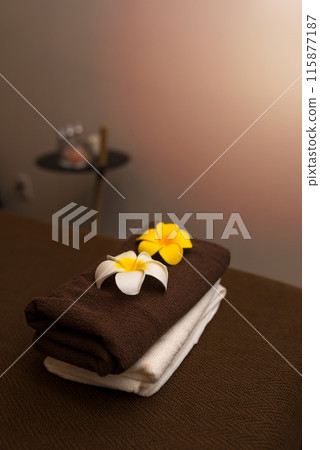 Salon bed 115877187
