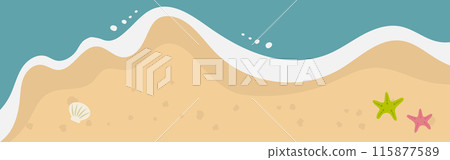 Sandy beach with shells and starfish Sandy beach with shells and starfish 115877589