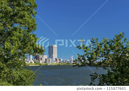 <千葉縣>里美公園（市川） 115877601