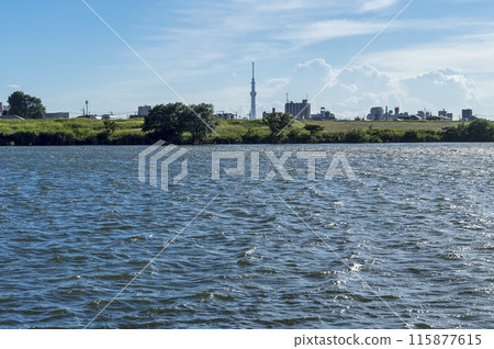 <Chiba Prefecture> Satomi Park (Ichikawa) 115877615