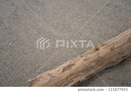 Driftwood launched on the beach 115877955